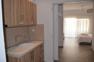 Grand suite kitchen